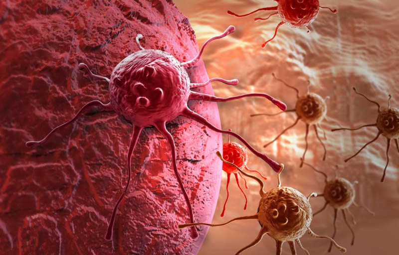 раковые клетки, рак, геном